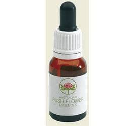 She Oak Australian – 15 ml gouttes