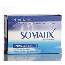 Somatix Integ – 30 gélules