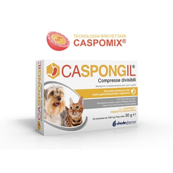 Caspongil – 30 comprimés divisibles