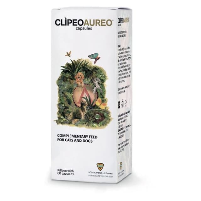 Clipeo Aureo – 60 gélules