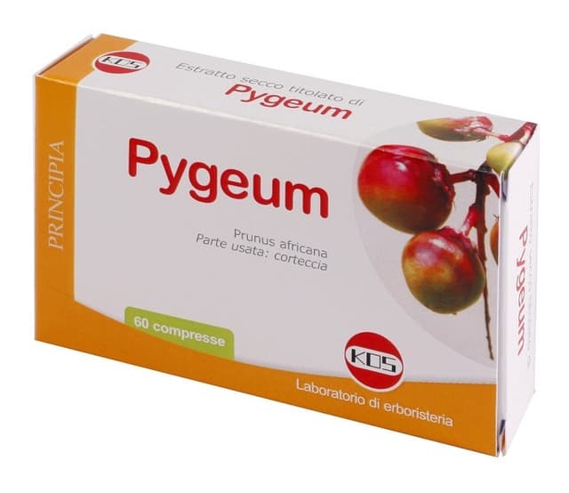 Pygeum Extrait Sec – 60 comprimés | Kos