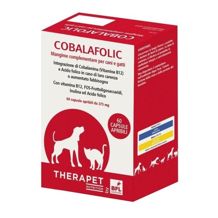 Cobalfolic Therapet – 60 Kapseln