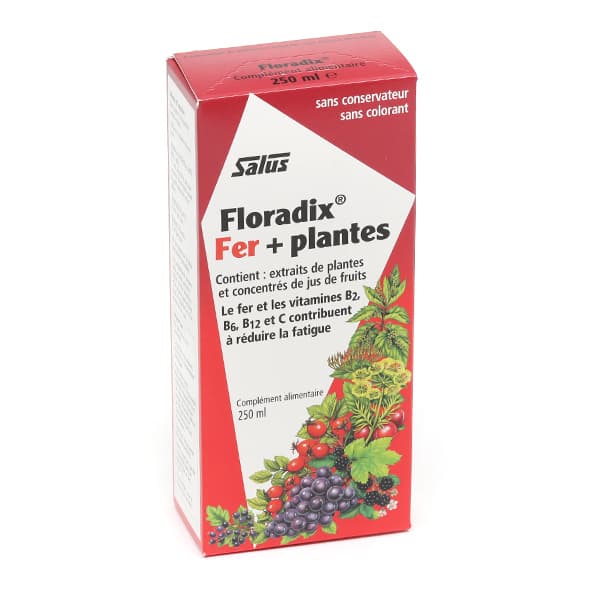 Fer – 250 ml | Floradix-Integ Ferro